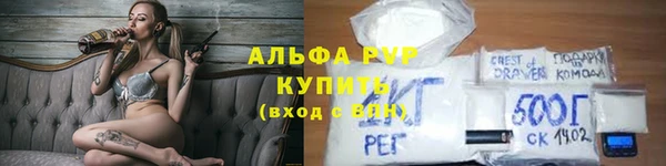 твердый Бородино