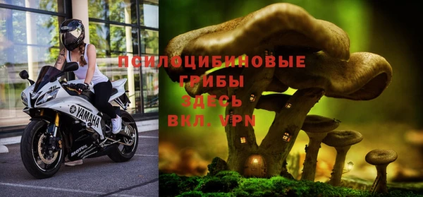 синтетический гашиш Богородицк