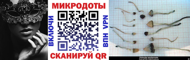 Галлюциногенные грибы прущие грибы  купить закладку  Одинцово 